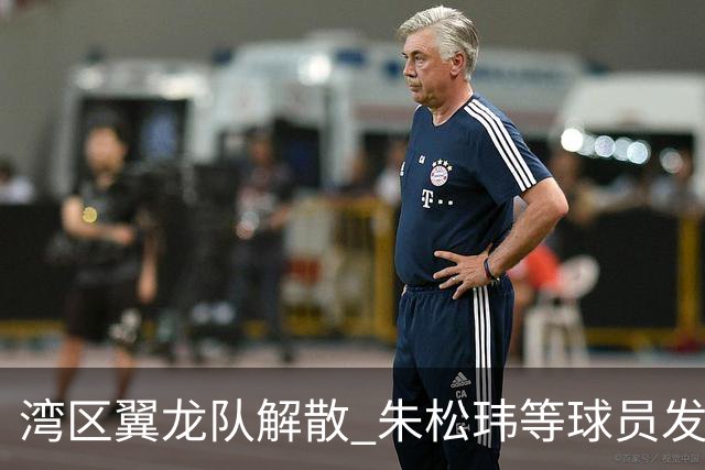 湾区翼龙队解散 朱松玮等球员发布声明维权
